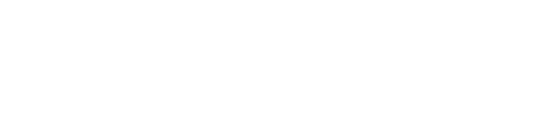 Nederlands Instituut van Psychologen (NIP)
